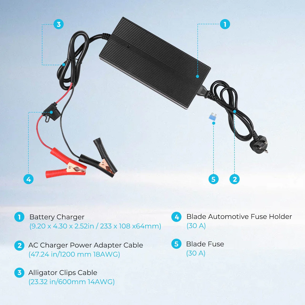 20A 240V AC to DC Lithium Iron Phosphate Battery Charger - Image 4