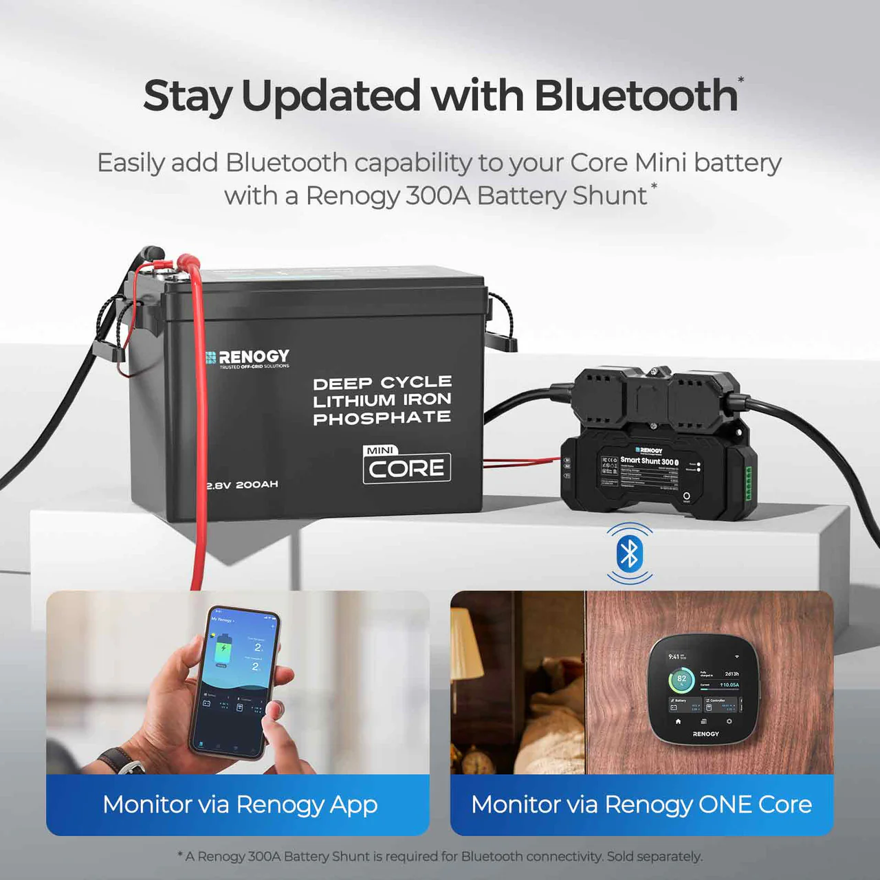 Core Mini - 12.8V Lithium Iron Phosphate Battery 300Ah / 200Ah / 100Ah - Image 21