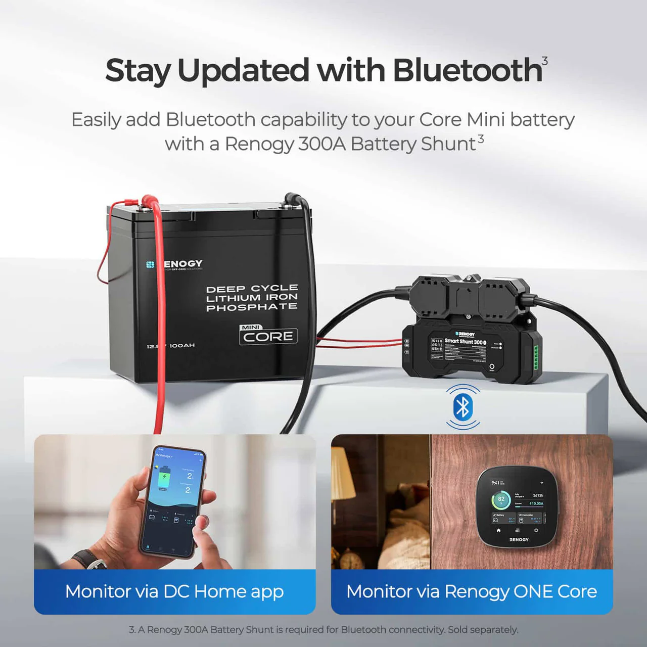 Core Mini- 12.8V 100Ah Lithium Iron Phosphate Battery - Image 4